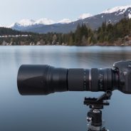 Super Zoom? Tamron SP 150-600mm F5.0-6.3 Di VC USD Field Test