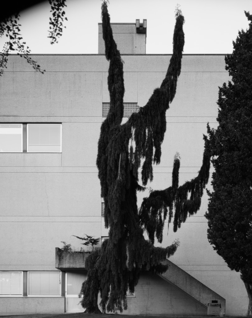 OUTSIDE ACADEMY