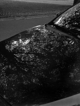 DENTS