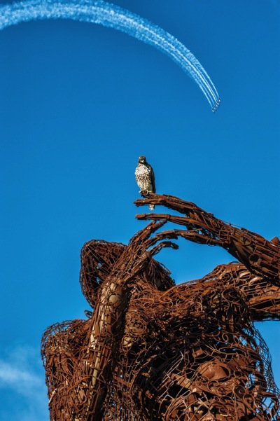 70-200 by Jeremie Schatz (8).jpg 70 200 by Jeremie Schatz  8