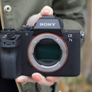 Sony rides wave of US Mirrorless sales surge