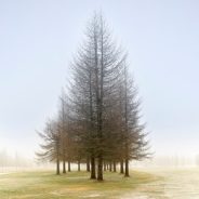 Get your photos featured in an upcoming Readers’ Showcase