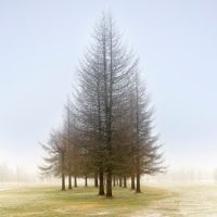 Get your photos featured in an upcoming Readers’ Showcase