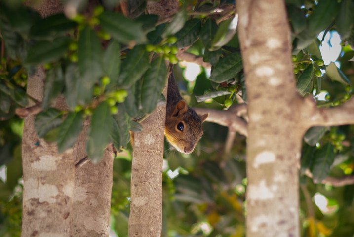 I shot this using Program Auto mode which was a great way to tweak my exposure settings on the fly with very little time to waste.