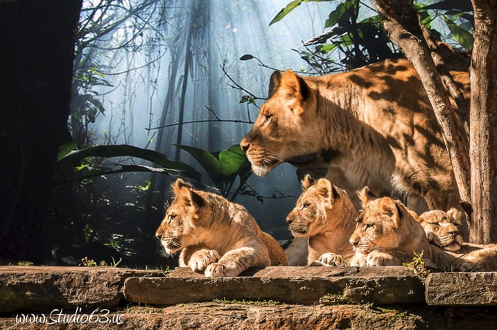 Kids and Mom.JPG Kids and Mom