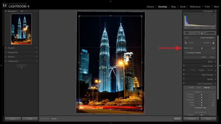 The Level tool can be found beside the Align slider or activated by holding CTRL key.