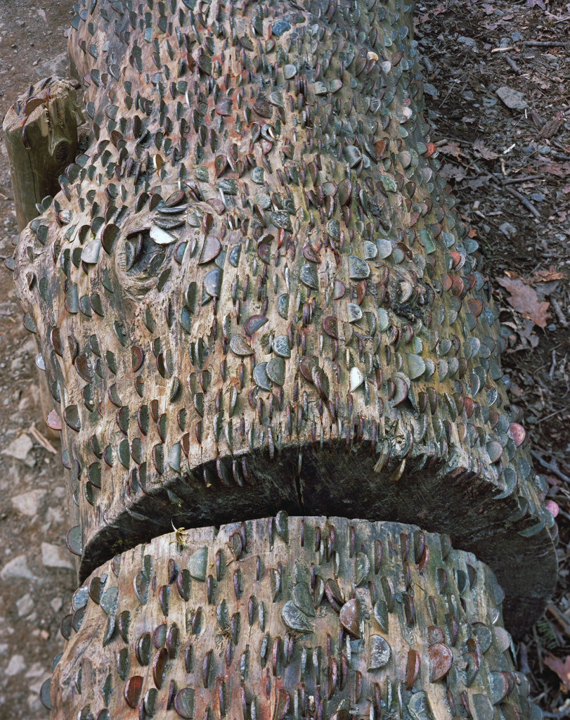 OVERGROWN