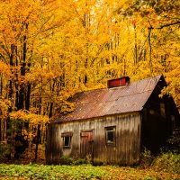 Guide to Growing a Large Online Audience for Photographers