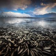 Behind the Shot: Watery Grave