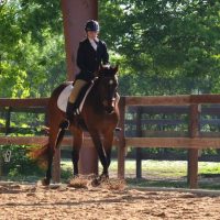 6 Tips on How to do Horse Show Photography for Parents