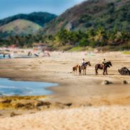 How to Simulate Tilt-Shift Lens Effects Using Lightroom