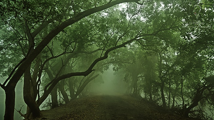 08-7-Photography-Tips-For-Beginners-by-Prathap-Photography-Nature-Phootography-Simplified.jpg.jpg 08 7 Photography Tips For Beginners by Prathap Photography Nature Phootography Simplified jpg