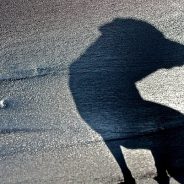 Weekly Photography Challenge – Shadows