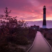 Writer’s Favorite Lens: Olympus Zuiko 12-40mm f/2.8