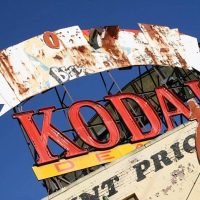 26 Nice Bright Colors and Some Greens of Summer to Liven up Your Day