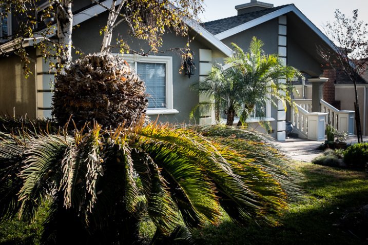 Front Yard, Burbank, California