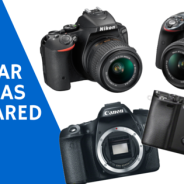 Camera Showdown: the Nikon D5500 and D3300, Canon 70D and Sony a6000 Compared