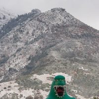 How to Add Metadata to Your Images in Photoshop