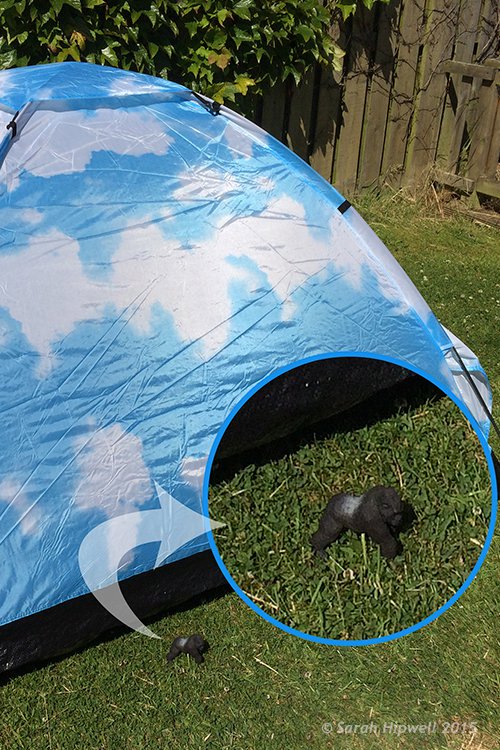 Gorilla-scale-to-tent