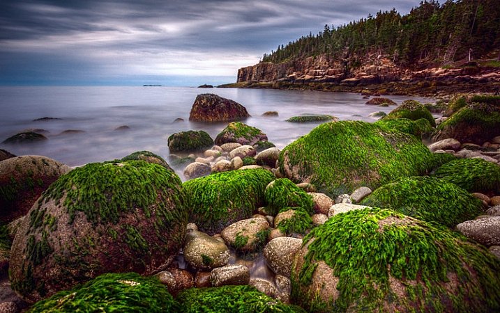 Seascape features example -  Green rocks at Acadia