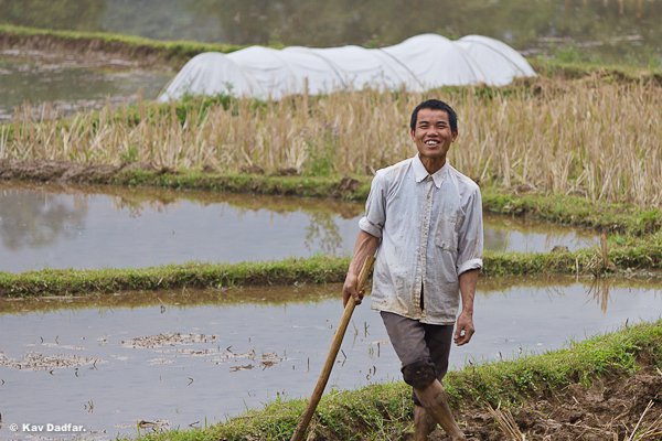 Man_Vietnam_KavDadfar