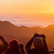 Natural Versus Artificial Light: Which Do You Prefer Working With?