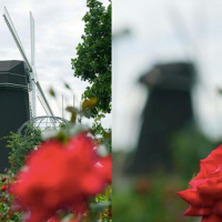 Panasonic reportedly developing focus-after-capture technology