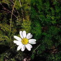 3 Useful Photoshop Techniques for Making Images Exposure Corrections