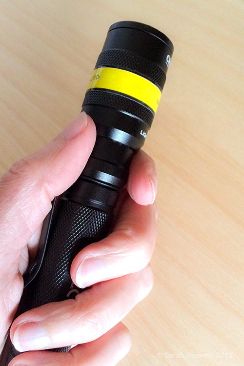 Torch-in-hand