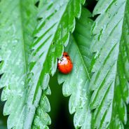 4 Tips on How to Be Creative in Undesirable Photography Conditions