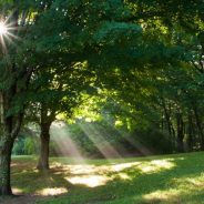 5 Ways to Create Dramatic Landscape Photos at Midday