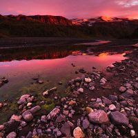 The Secret to Great Photography Portfolio