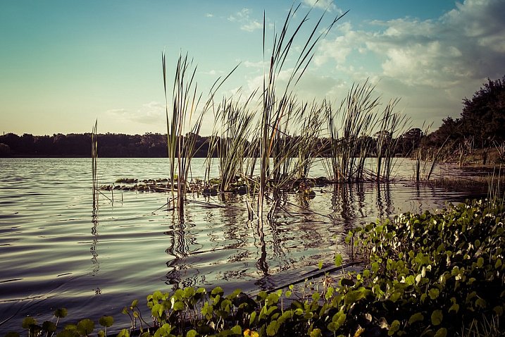 Aperture: f/8  Speed: 1/200  ISO: 100