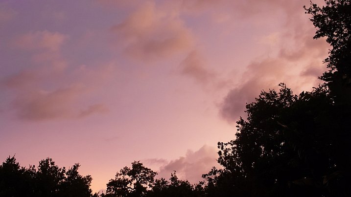 Aperture: f/8  Speed: 1/50  ISO: 1250