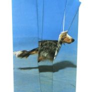 Amsterdam’s Unseen Photo Fair returns with new photography festival