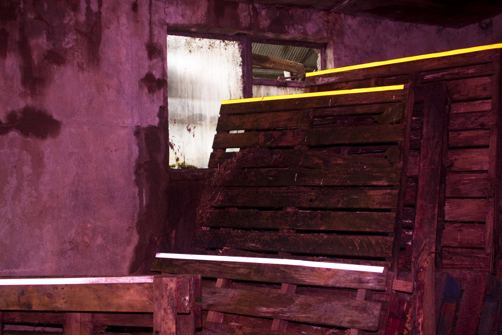 Untitled I, from the series Rural Fluorescence, 2015 © Jill Quigley/Belfast Exposed and Division of Labour