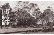 Moss Vale dog park – lets get lost