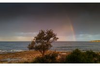 End of the Rainbow in Cronulla