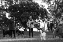 Moss Vale Dog Park