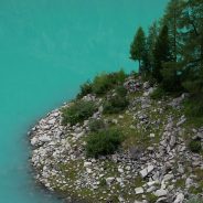 a photo book with photos and haiku: camera used : Nikon P900