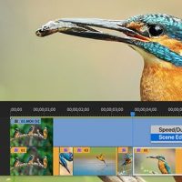 Adobe releases Premiere Pro update, including scene detection and improved HDR