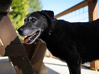 Sony a7C sample gallery