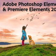 Adobe announces Photoshop and Premiere Elements 2021