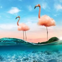 Adobe gives Photoshop 2021 even more Sensei AI power, brings livestreaming to Photoshop for iPad