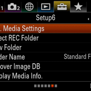 Canon R6 vs Nikon Z6 II vs Panasonic S1 vs Sony A7 III