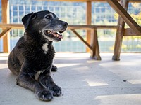 Sony a7C sample gallery updated