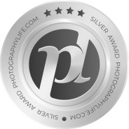 ASUS ProArt PA278QV Monitor Review