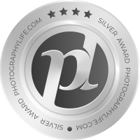 ASUS ProArt PA278QV Monitor Review