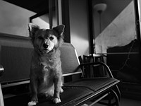 Leica Q2 Monochrom sample gallery