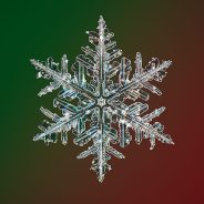 Photographer captures the highest resolution snowflake photos in the world